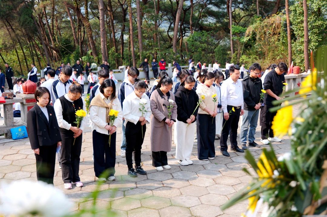 1745391416549154.jpg 3.jpg